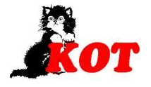 Кот